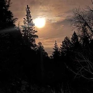 Meet your Posher, Teresa